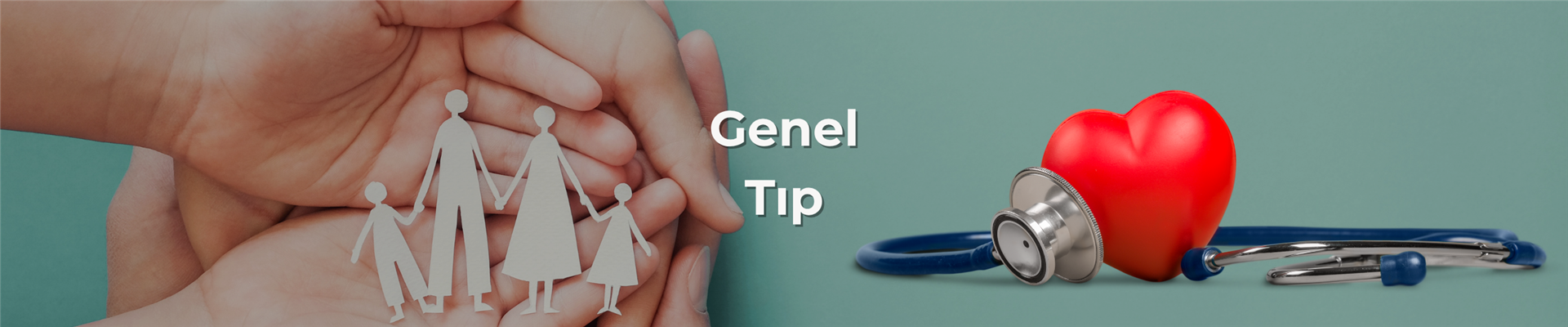geneldenemebanner