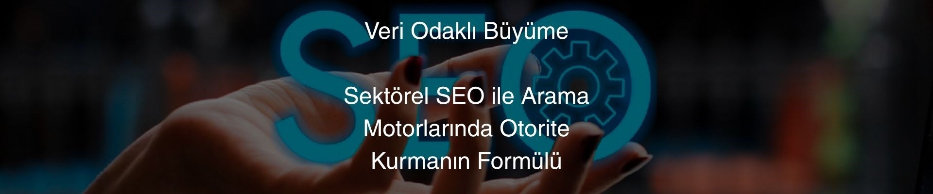 seobannerreklam