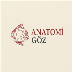 anatomigoz.com.tr