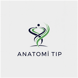anatomitip.com.tr