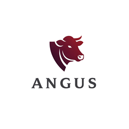 angus.com.tr