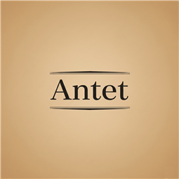 antet.tr