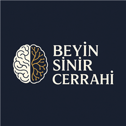 beyinsinircerrahi.com.tr