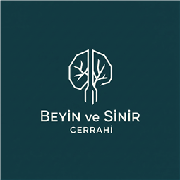 beyinvesinircerrahi.tr