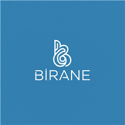 birane.com.tr