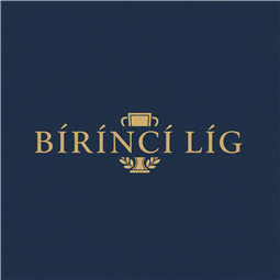 birincilig.com.tr
