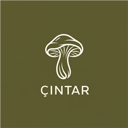 cintar.com.tr