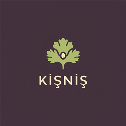 kisnis.com.tr