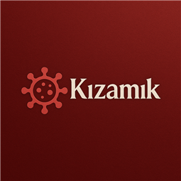 kizamik.com.tr