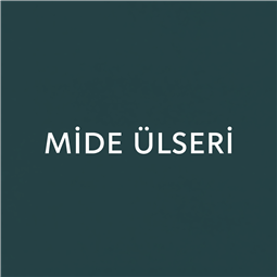 mideulseri.tr