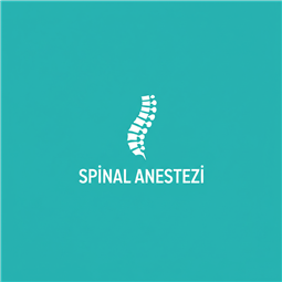 spinalanestezi.tr