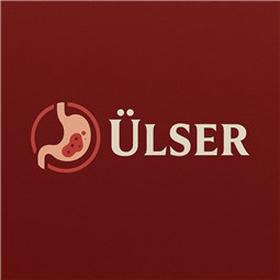 ulser.com.tr