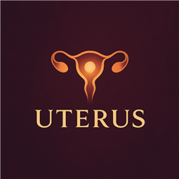 uterus.com.tr